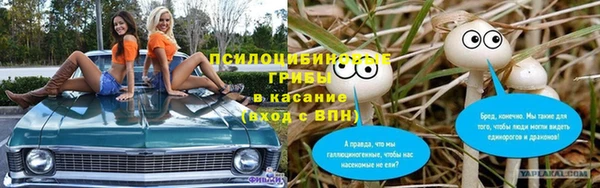 мяу мяу кристалл Богданович