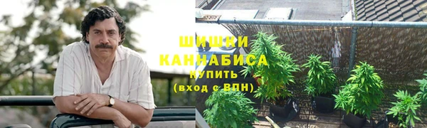 прущие грибы Балахна