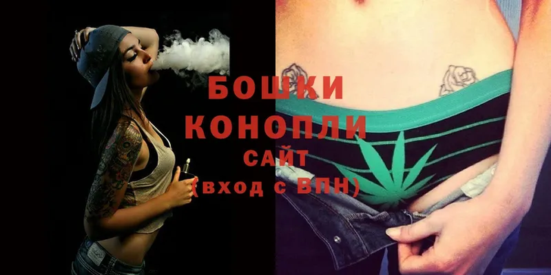 купить наркотики цена  Великий Устюг  гидра ссылки  Бошки Шишки OG Kush 